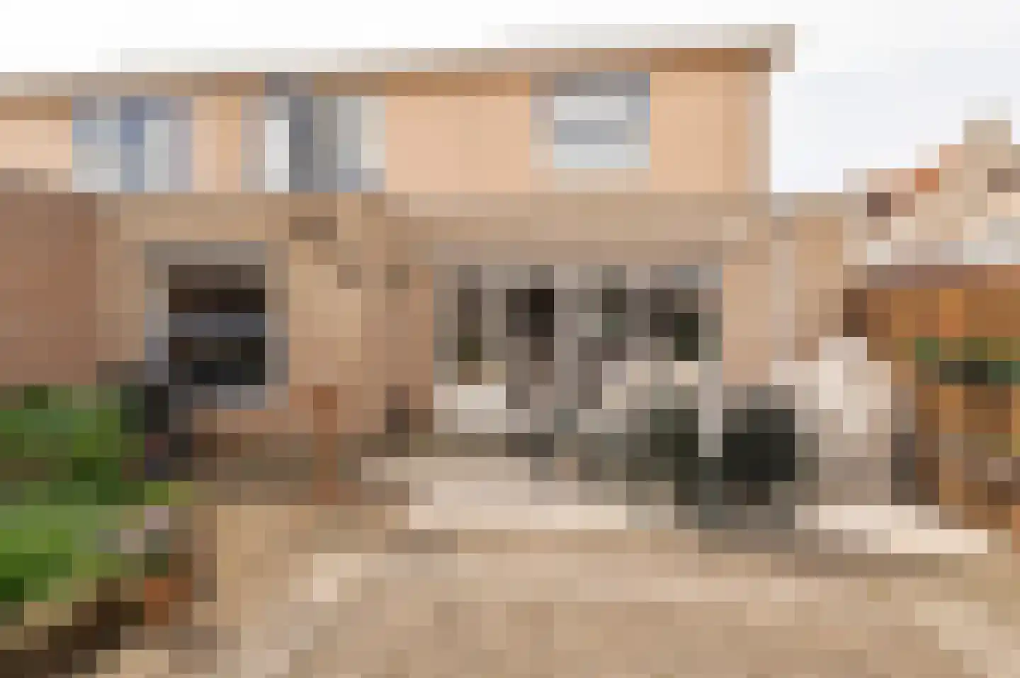 Venus 16 Wijk bij Duurstede thumbnail 18
