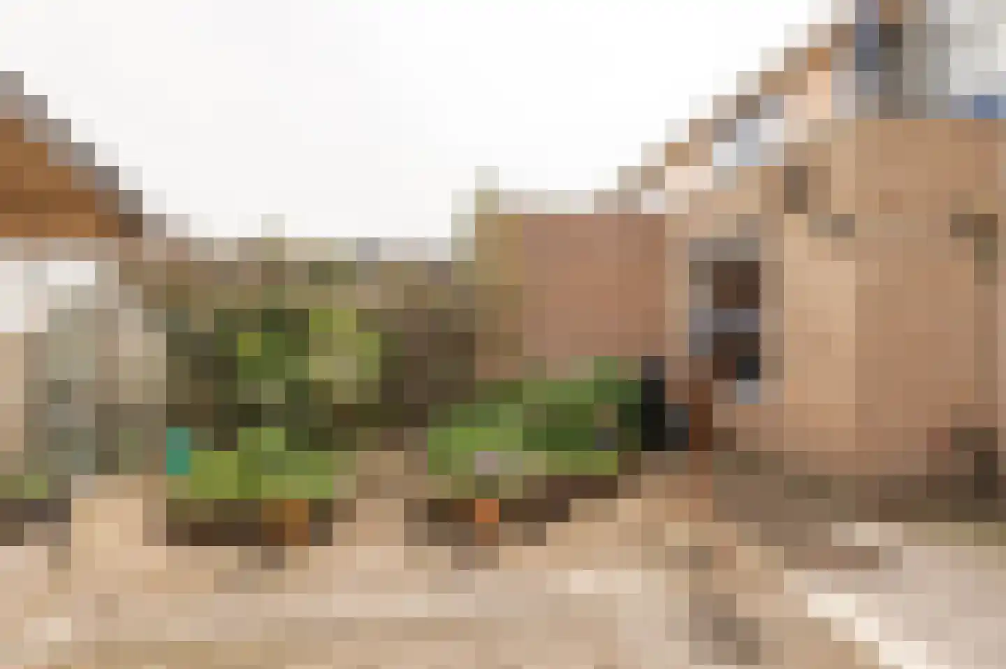 Venus 16 Wijk bij Duurstede thumbnail 19