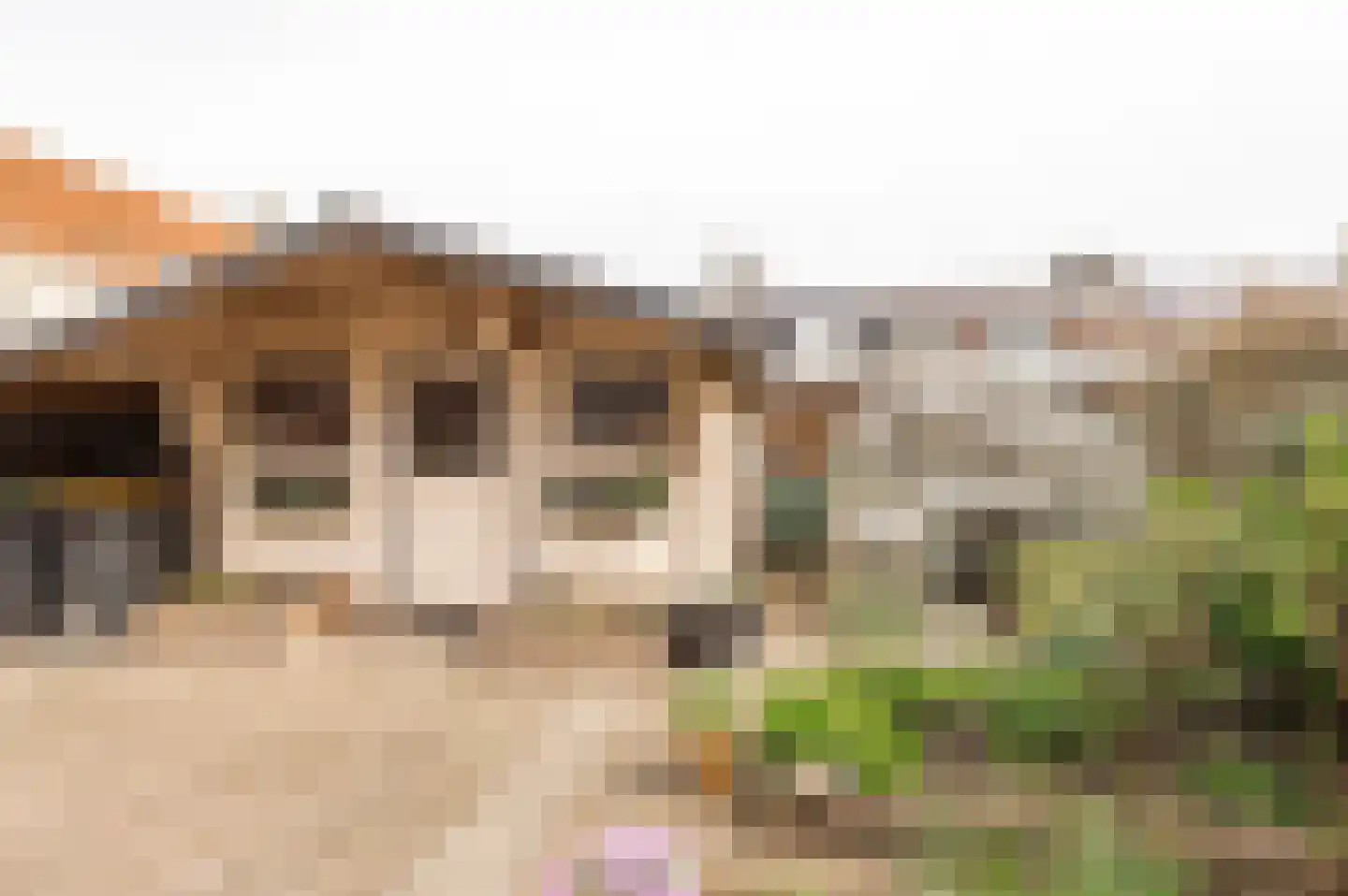 Venus 16 Wijk bij Duurstede thumbnail 20