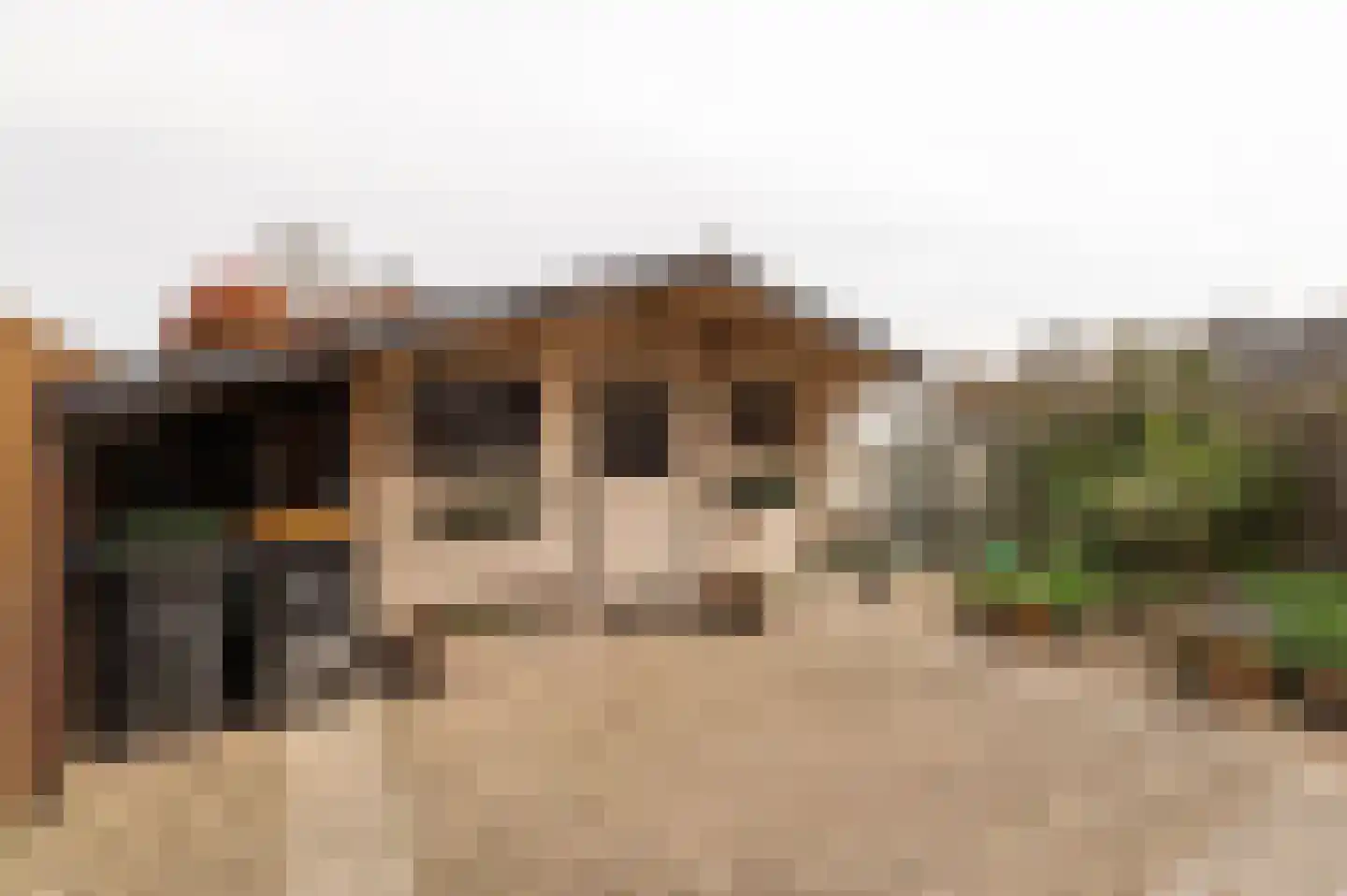 Venus 16 Wijk bij Duurstede thumbnail 21