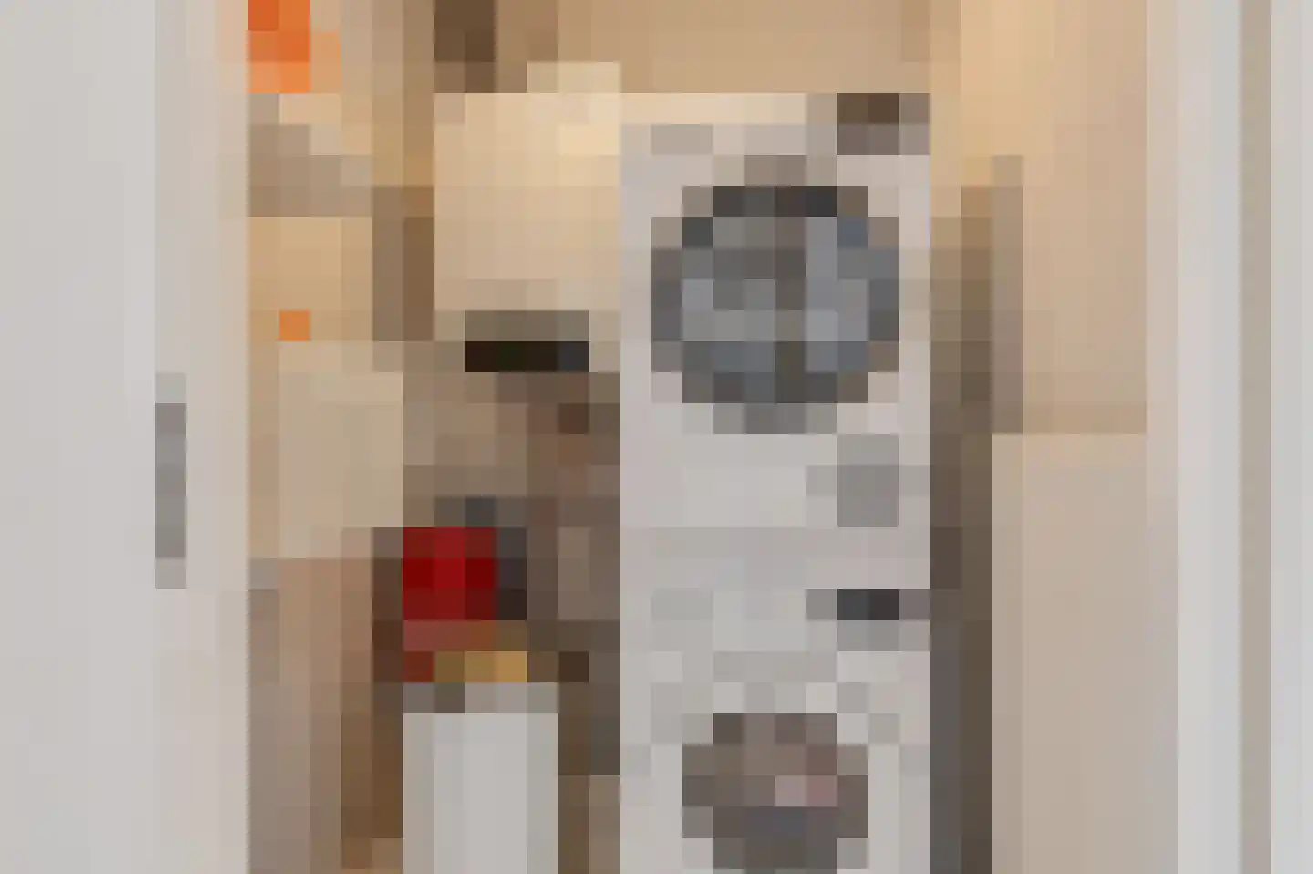 Venus 16 Wijk bij Duurstede thumbnail 30