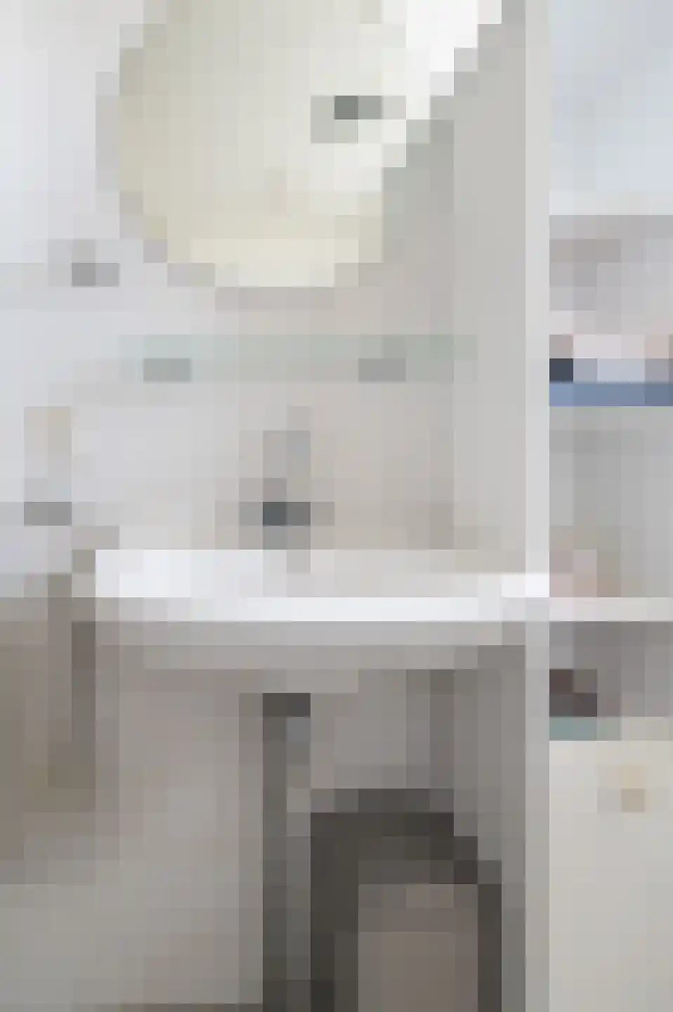 Venus 16 Wijk bij Duurstede thumbnail 33