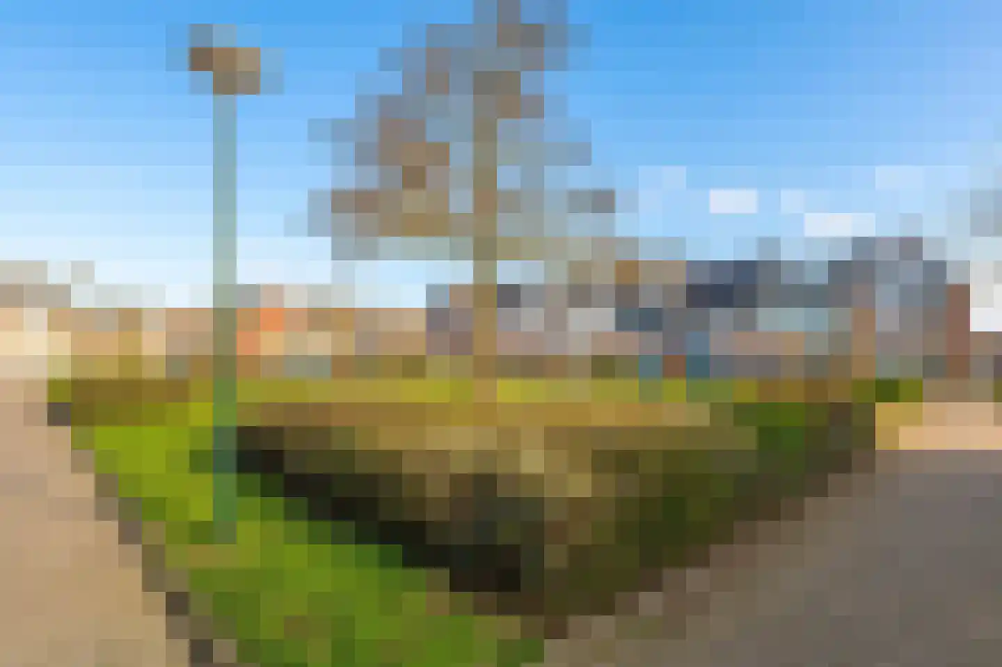 Venus 16 Wijk bij Duurstede thumbnail 6