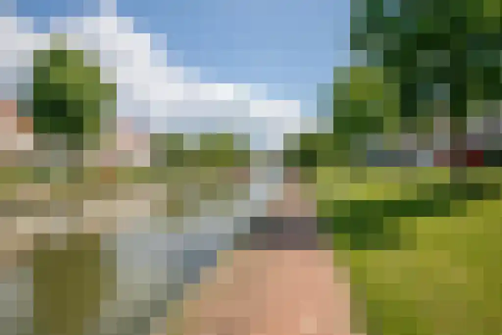 Venus 16 Wijk bij Duurstede thumbnail 7