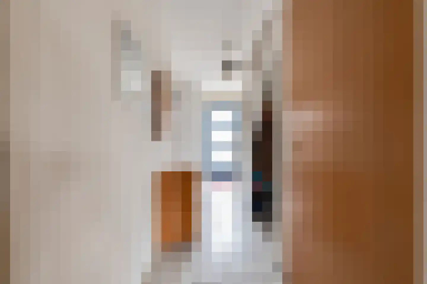 Venus 16 Wijk bij Duurstede thumbnail 8