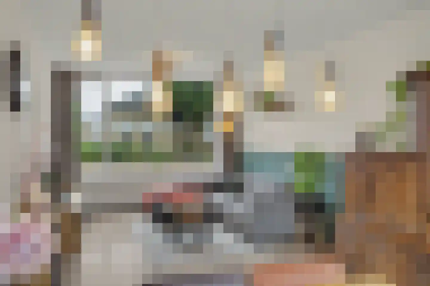 Venus 19 Hapert thumbnail 10