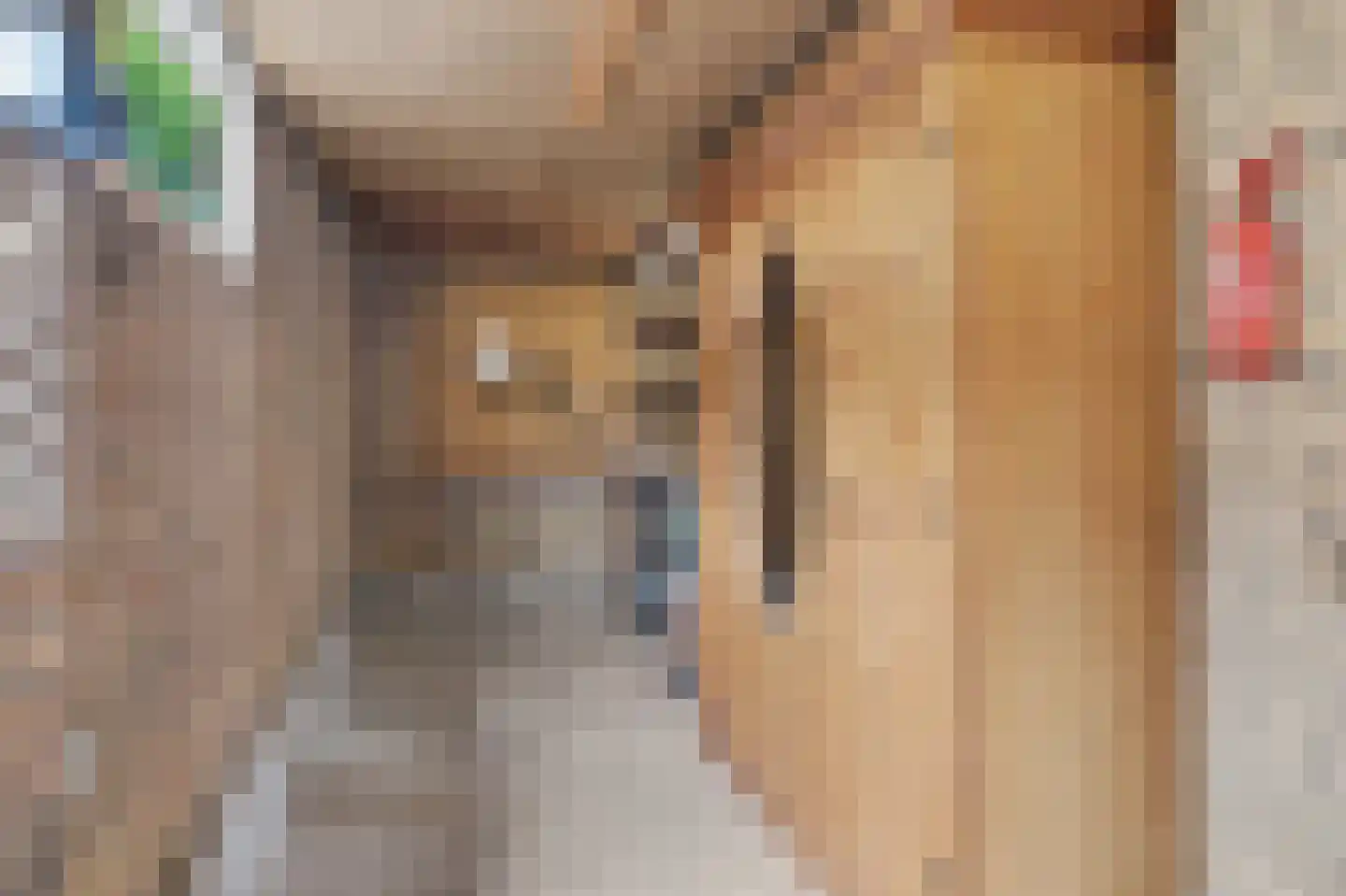 Venus 19 Hapert thumbnail 37