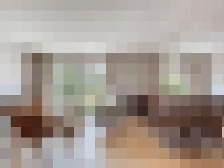 Venus 4 Oostburg thumbnail 10