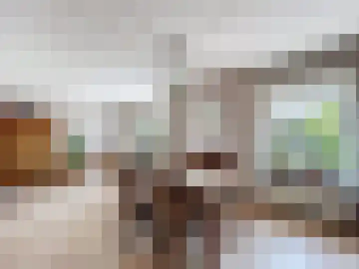 Venus 4 Oostburg thumbnail 11