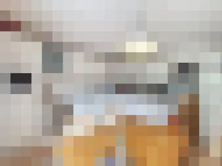 Venus 4 Oostburg thumbnail 13