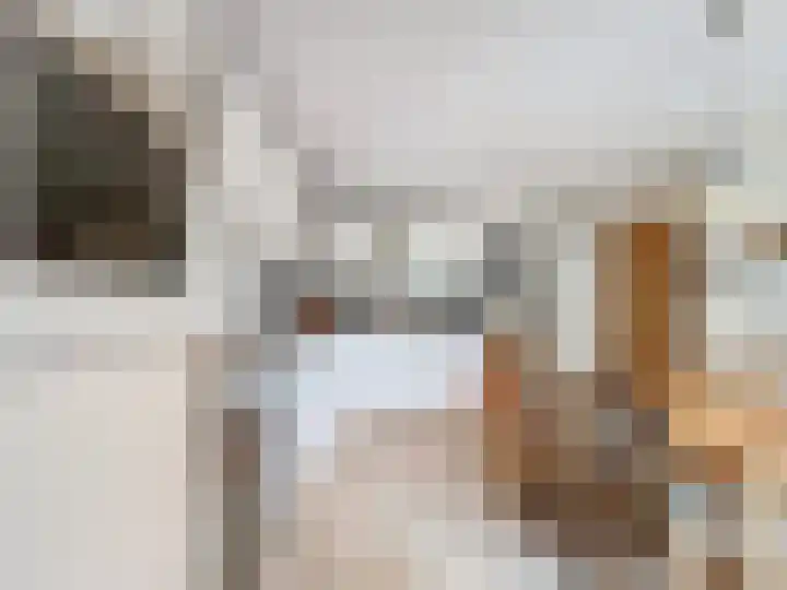 Venus 4 Oostburg thumbnail 14