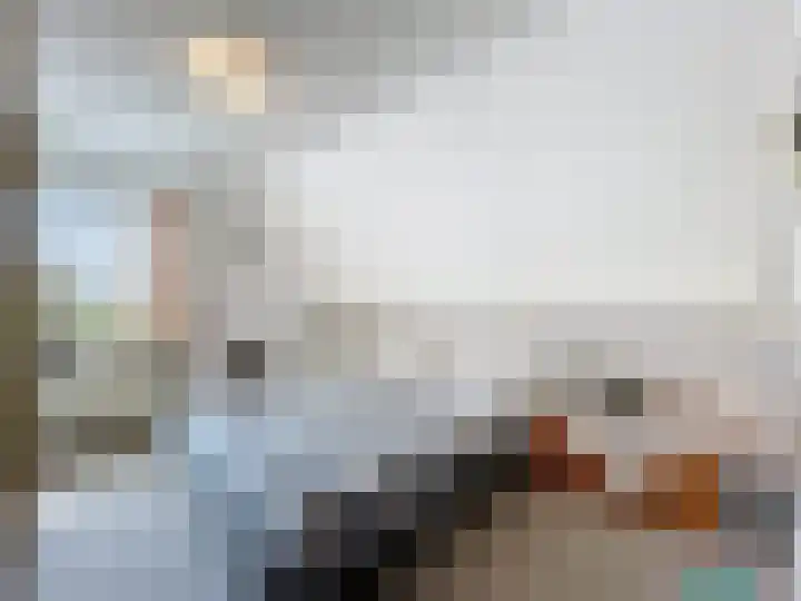 Venus 4 Oostburg thumbnail 19