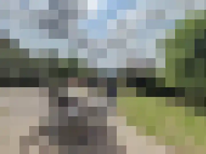 Venus 4 Oostburg thumbnail 30