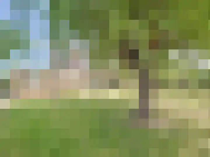 Venus 4 Oostburg thumbnail 32