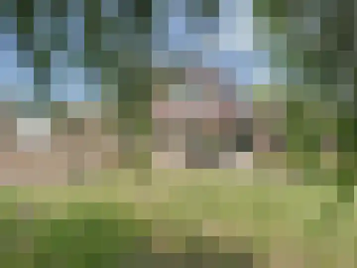 Venus 4 Oostburg thumbnail 33