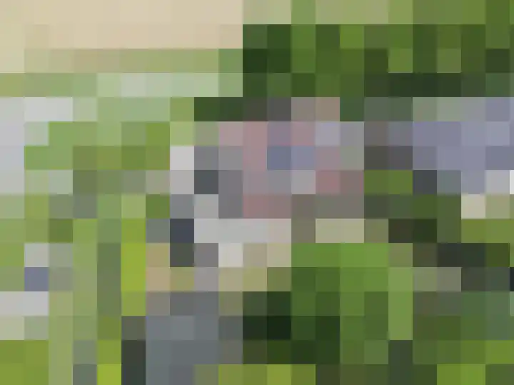 Venus 4 Oostburg thumbnail 35