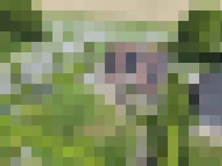 Venus 4 Oostburg thumbnail 36