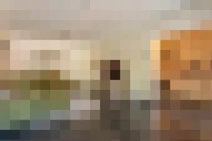 Venus 42 Katwijk thumbnail 4