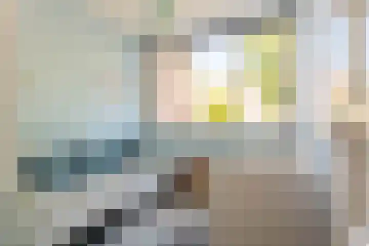 Venus 42 Katwijk thumbnail 5