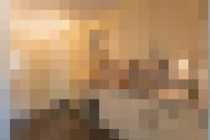 Venus 42 Katwijk thumbnail 6