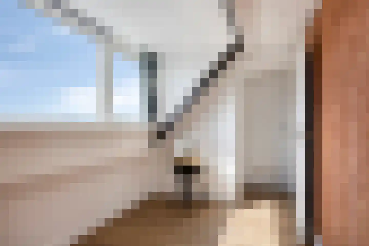 Venus 48 Katwijk thumbnail 27