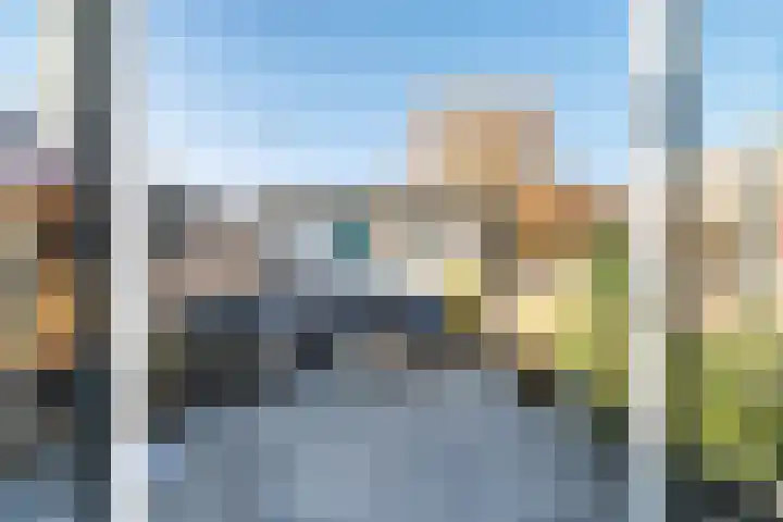 Venus 58 Berkel en Rodenrijs thumbnail 19