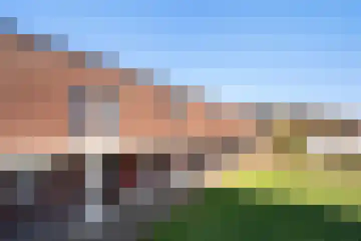 Venus 58 Berkel en Rodenrijs thumbnail 6