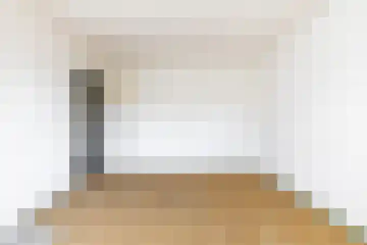 Venus 69 Hoogezand thumbnail 12
