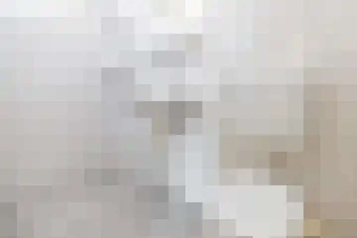 Venus 69 Hoogezand thumbnail 14