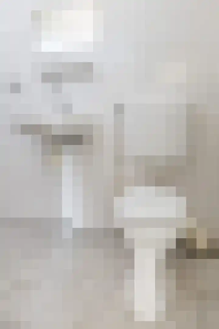 Venus 69 Hoogezand thumbnail 16