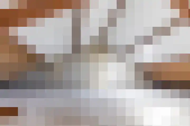 Venus 69 Hoogezand thumbnail 18