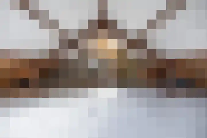 Venus 69 Hoogezand thumbnail 19