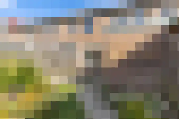 Venus 69 Hoogezand thumbnail 21