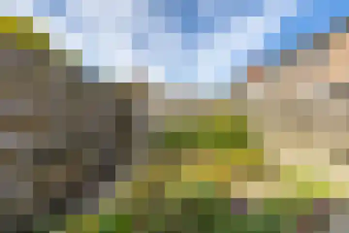 Venus 69 Hoogezand thumbnail 22