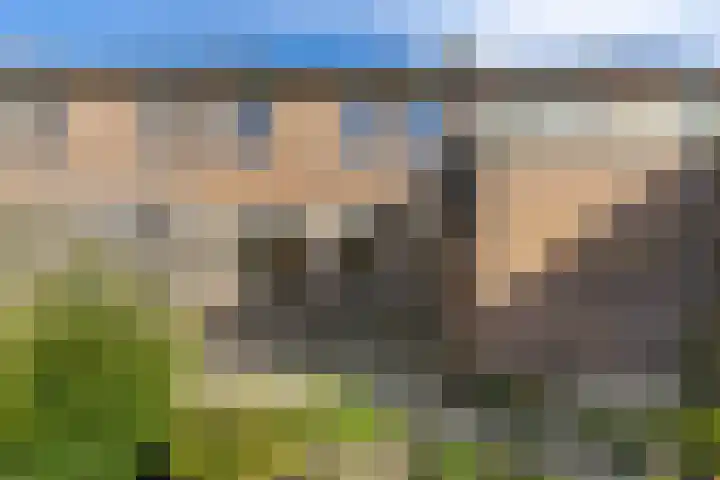 Venus 69 Hoogezand thumbnail 23