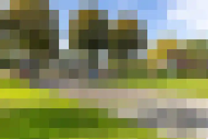 Venus 69 Hoogezand thumbnail 26