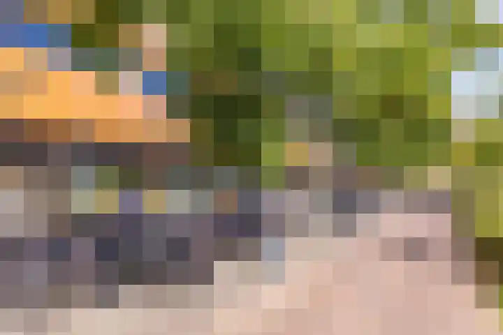 Venus 69 Hoogezand thumbnail 27