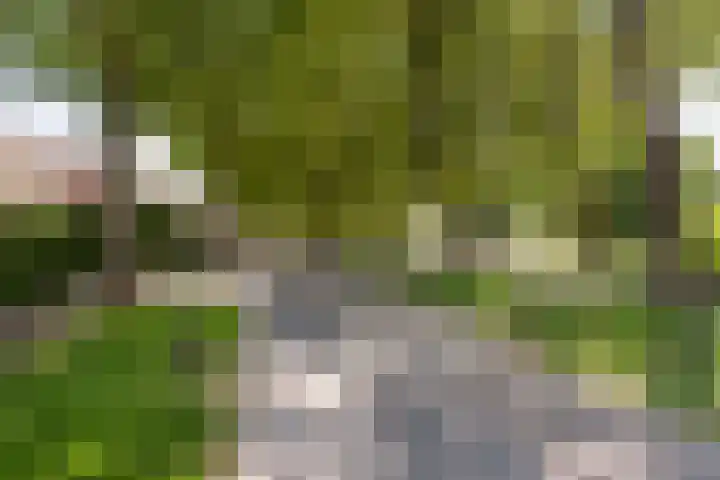 Venus 69 Hoogezand thumbnail 4