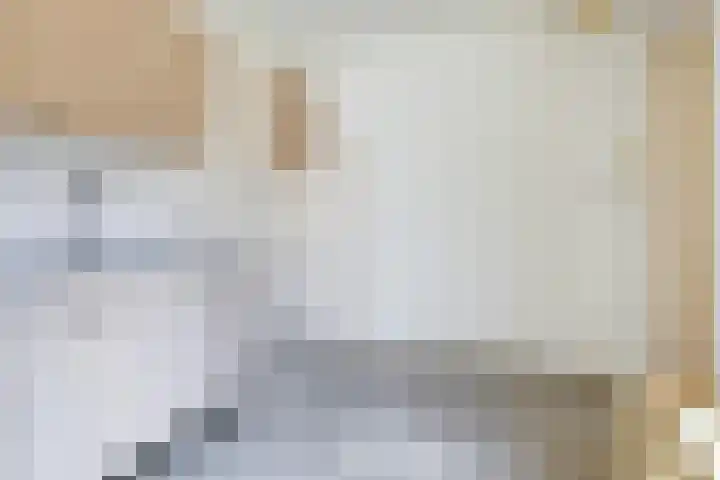 Venus 69 Hoogezand thumbnail 6