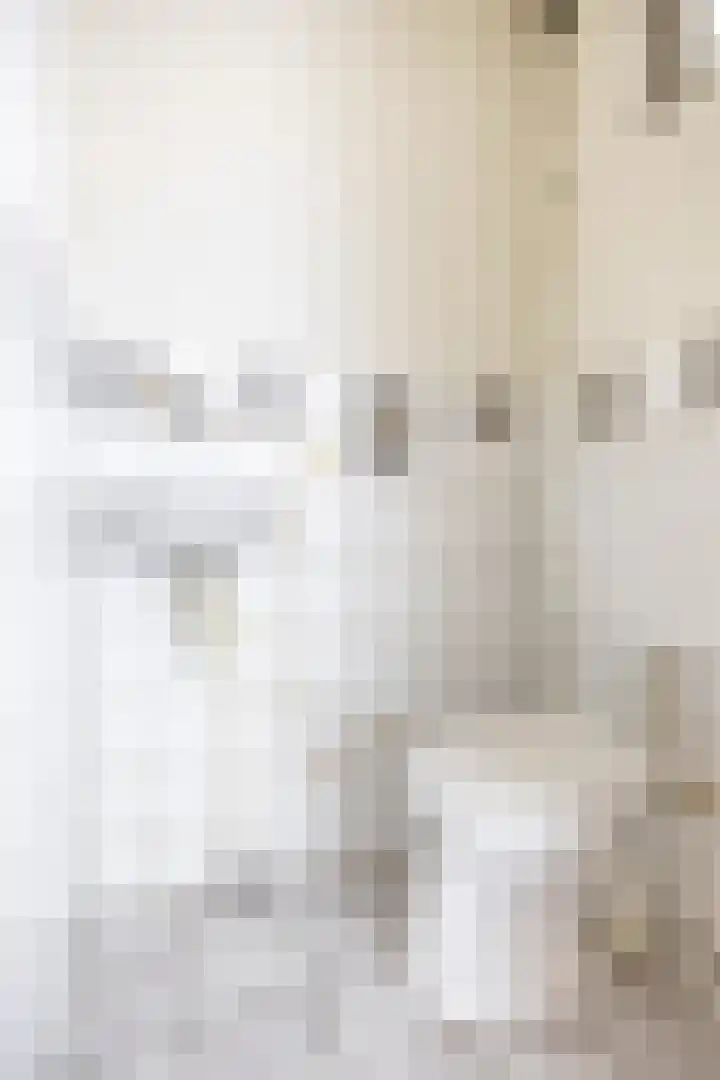 Venus 69 Hoogezand thumbnail 8