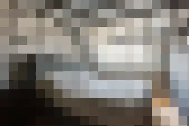 Venus 71 Berkel en Rodenrijs thumbnail 19