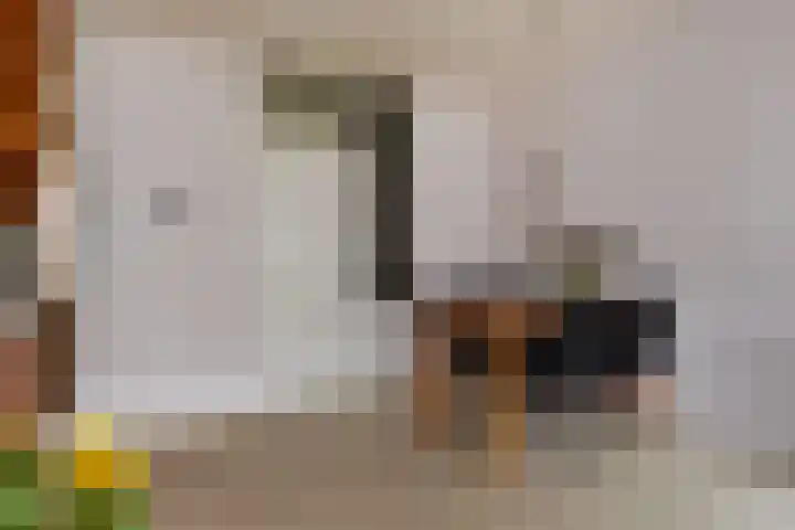 Venus 79 Berkel en Rodenrijs thumbnail 11
