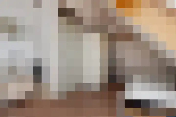 Venus 79 Berkel en Rodenrijs thumbnail 35