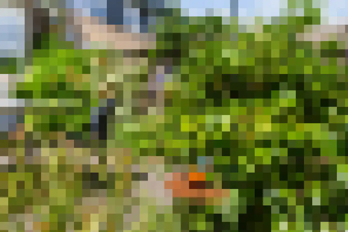 Venushof 15 Maartensdijk thumbnail 20