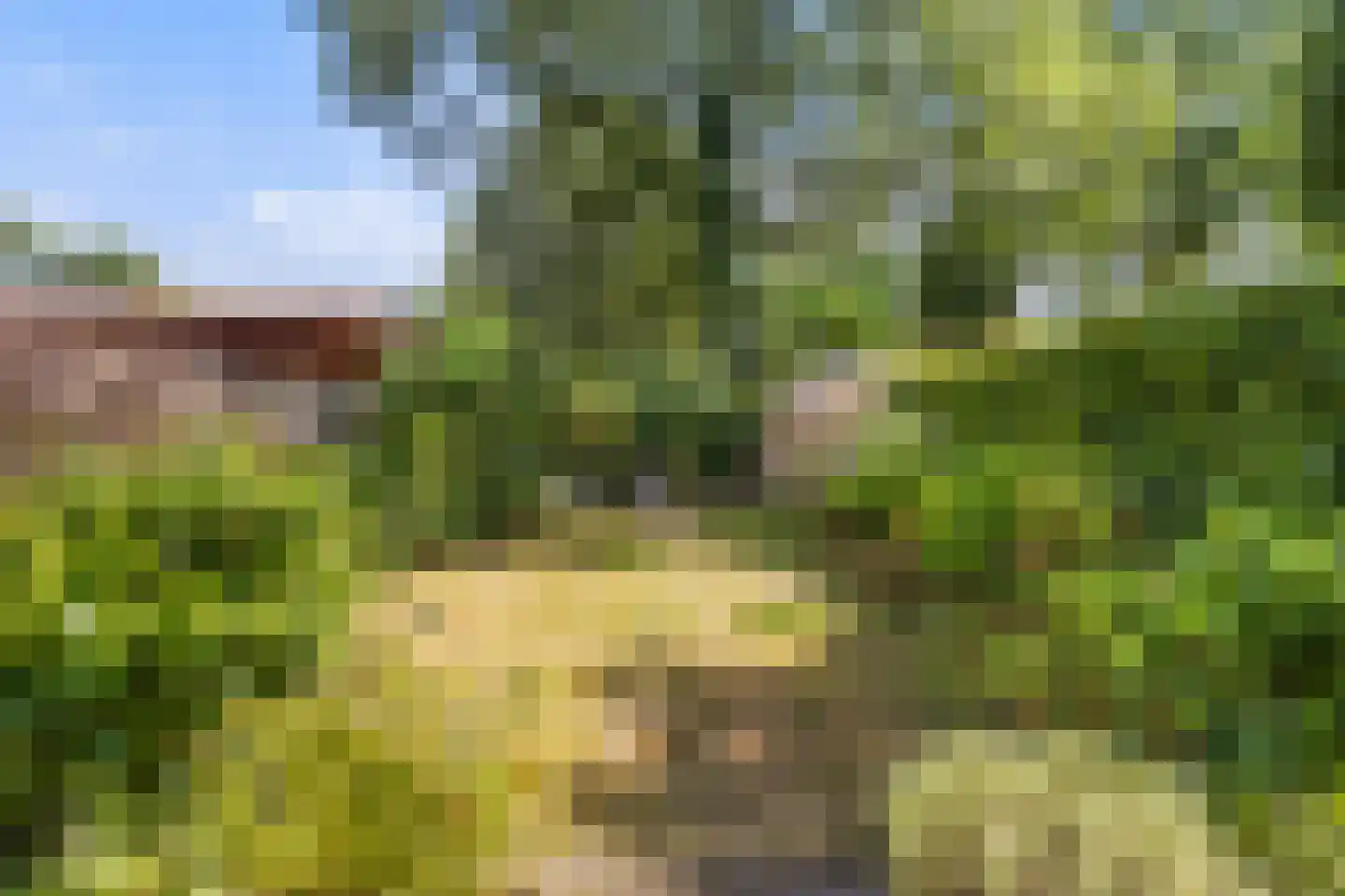 Venushof 15 Maartensdijk thumbnail 21
