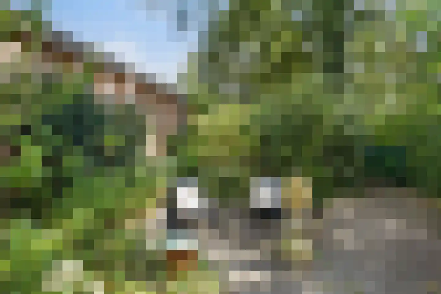 Venushof 15 Maartensdijk thumbnail 22