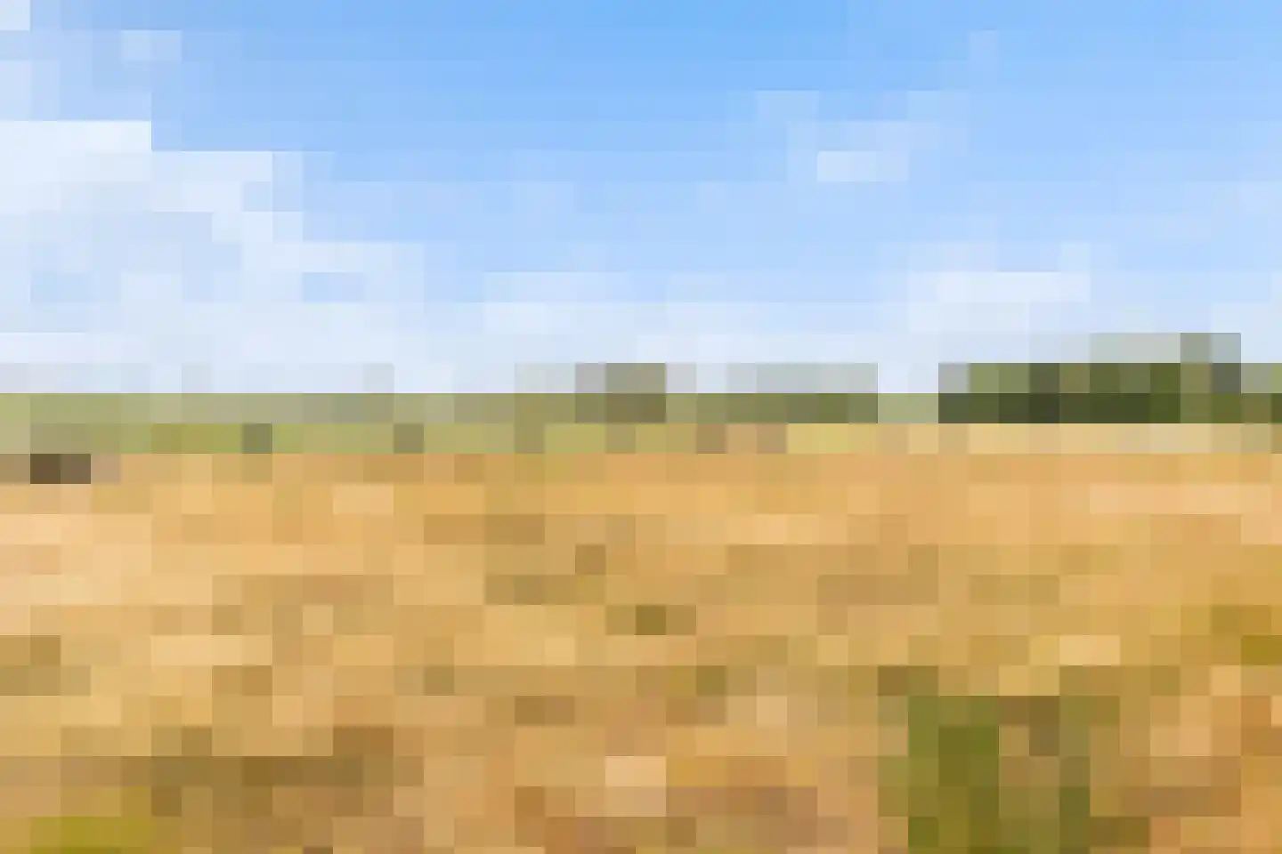 Venushof 15 Maartensdijk thumbnail 40