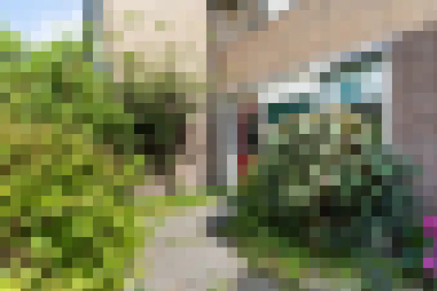 Venushof 15 Maartensdijk thumbnail 5