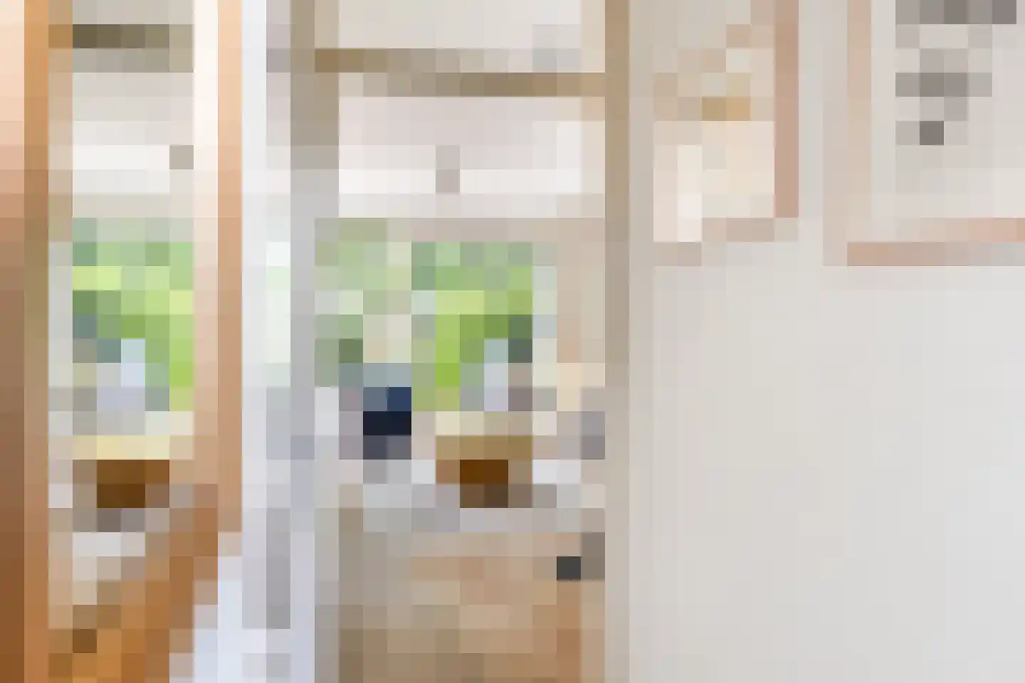 Venushof 15 Maartensdijk thumbnail 6