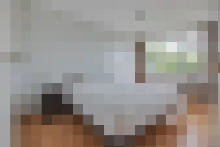 Venushof 2 Maarn thumbnail 25